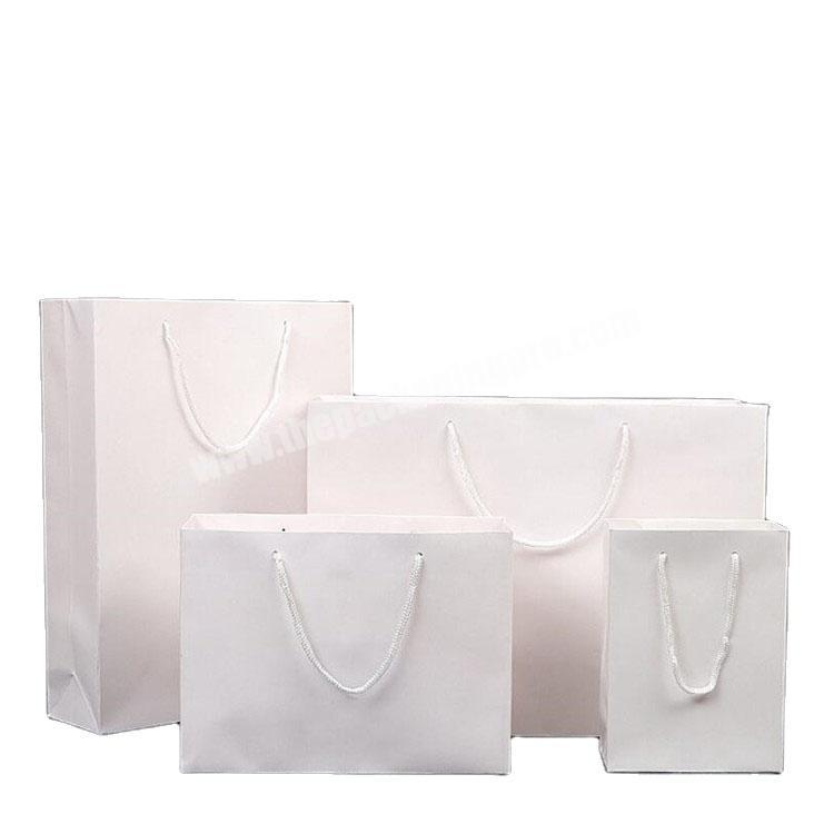 China Manufacture  Christmas Custom Own Logo Printed Paper Shopping Gift Bag