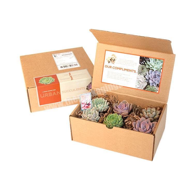 Custom logo printed paper wholesale cactus succulents live plants packaging box