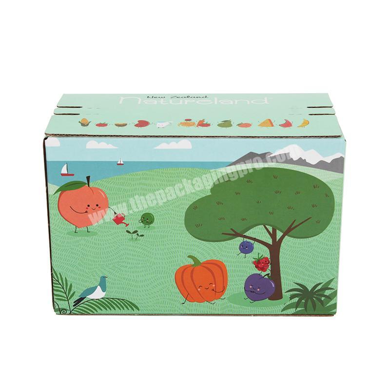 Hot sale custom color printing super hard thickened fruit zipper paper box