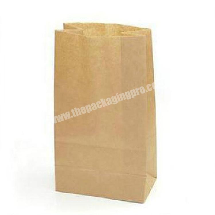 Latest Design China Factory Customized Professional Kraft Paper Food Bag
