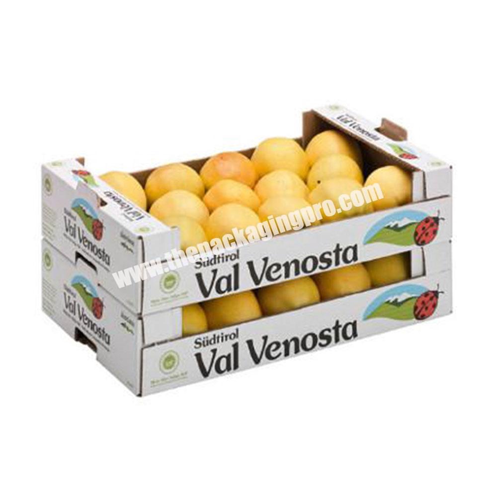 Customized Logo Printed Corrugated Cardboard Orange Lemon Fruit Paper Packaging Tray Retail Box