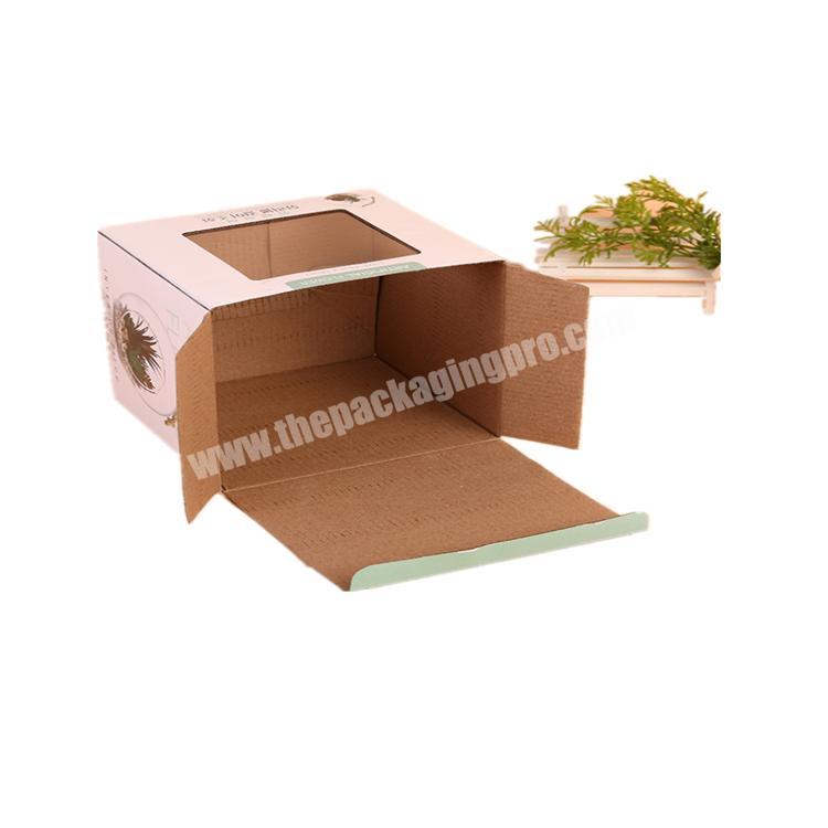 Best quality food storage box pvc cake box