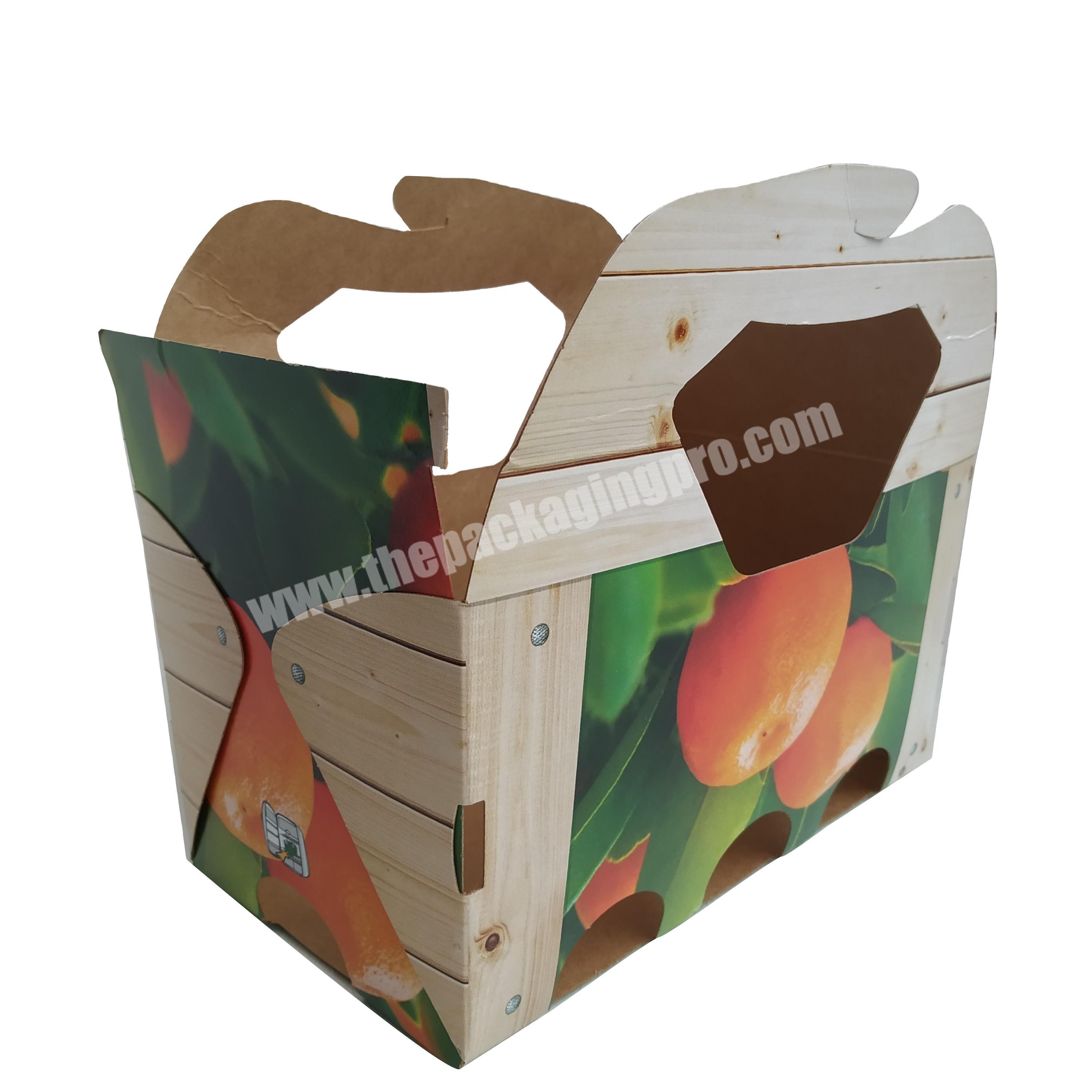 China Factory Fruit packaging coated kraft paper box small size fruit holder box can carry 1kg