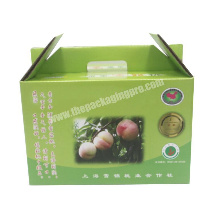 Color Print Corrugated Carton Paper Packaging Fruit Gift Box
