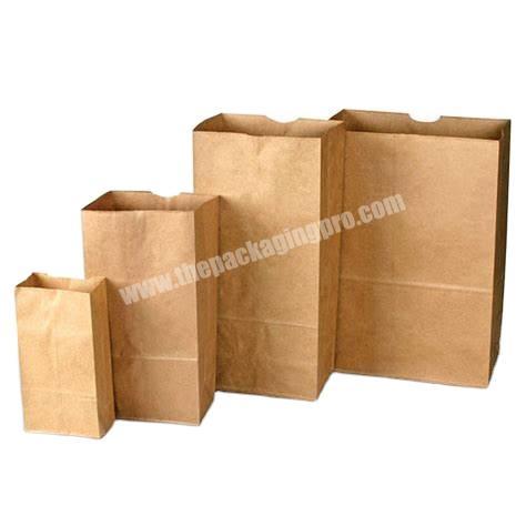 Custom Logo White Brown Kraft Paper Shopping Bags For Gift No Printed Shopping Bags