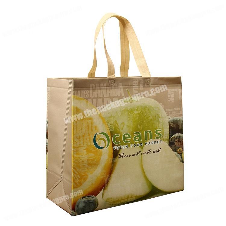 Custom printed biodegradable shopping pp non woven bag for packaging