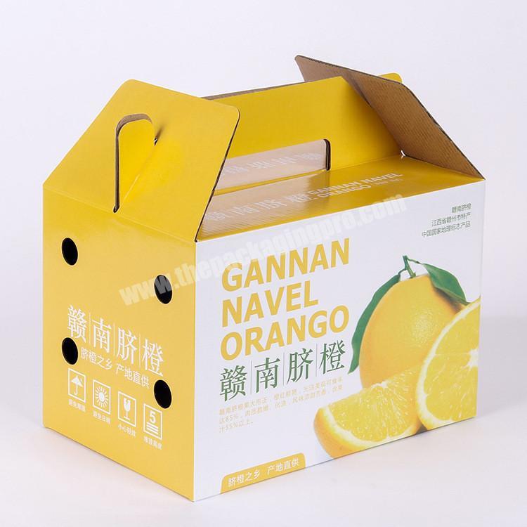 Custom Printing 20KG Apple Orange Fruit Corrugated Packaging Carton Box