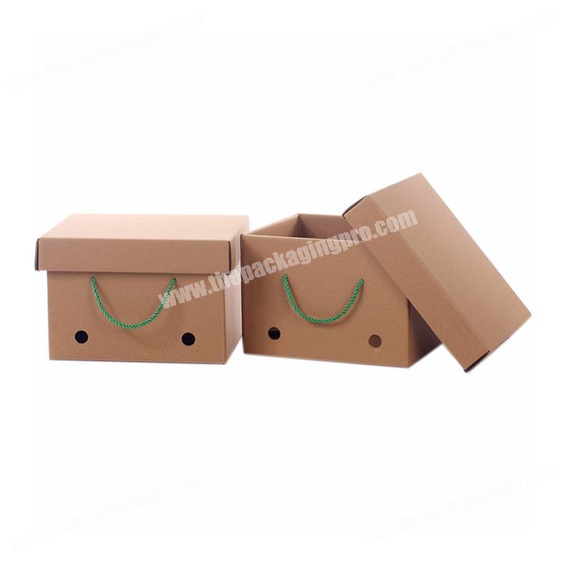 Custom Recycle 5-ply Corrugated Carton Packaging Vegetable Fruit Box