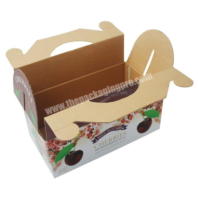 Design Unique Paper Packaging Tomato Corrugated BoxesFruit Carton Box