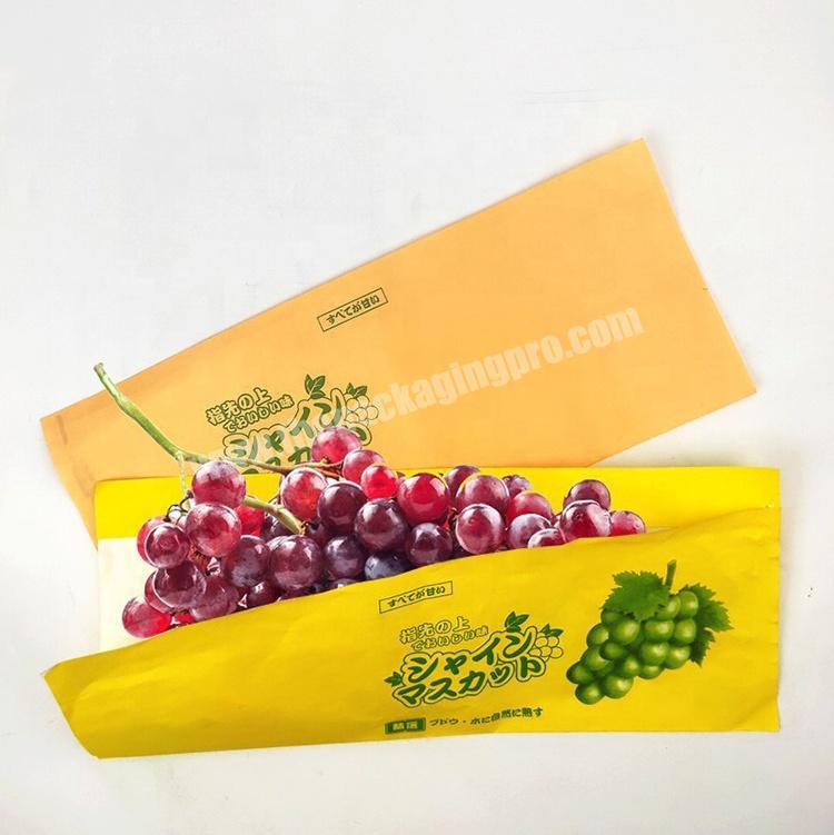 Fancy custom printed grease proof grape kraft fruit paper bag