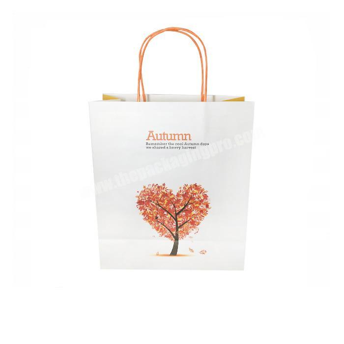 Hot Sales Custom Paper Packaging Bags For Clothing carrier bags
