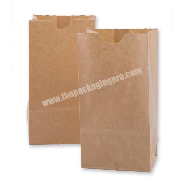 Paper Package Manufacturer china factory wholesale craft paper bulk shopping bags