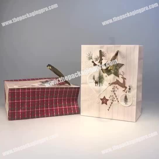 popular design custom christmas gift paper packaging bag