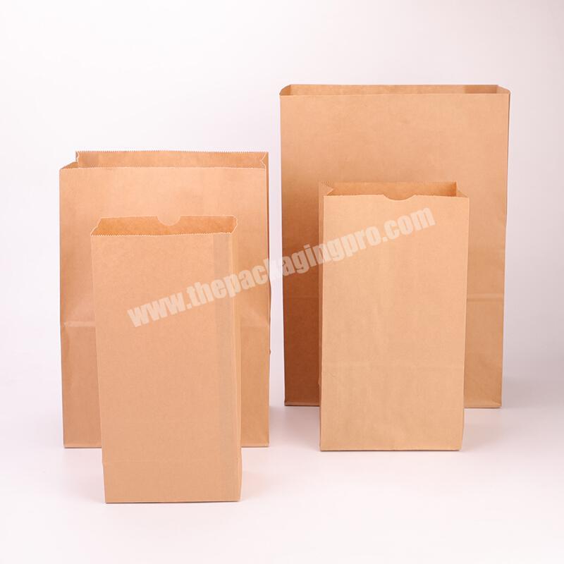 Wholesale Cheap Biodegradable Eco-friendly Food Grade Kraft Take-out Food Packaging Bag for Picnic