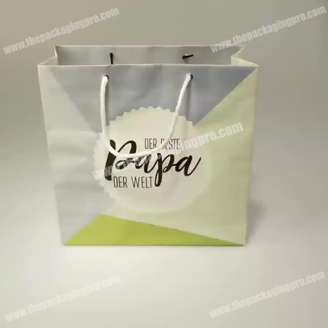 Wholesale Colorful Paper Bags with Your Own LOGO Custom Paper Gift Bag with Handle
