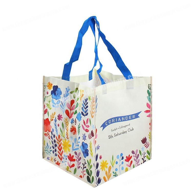 Wholesale custom printed shopping bags pp non woven bag