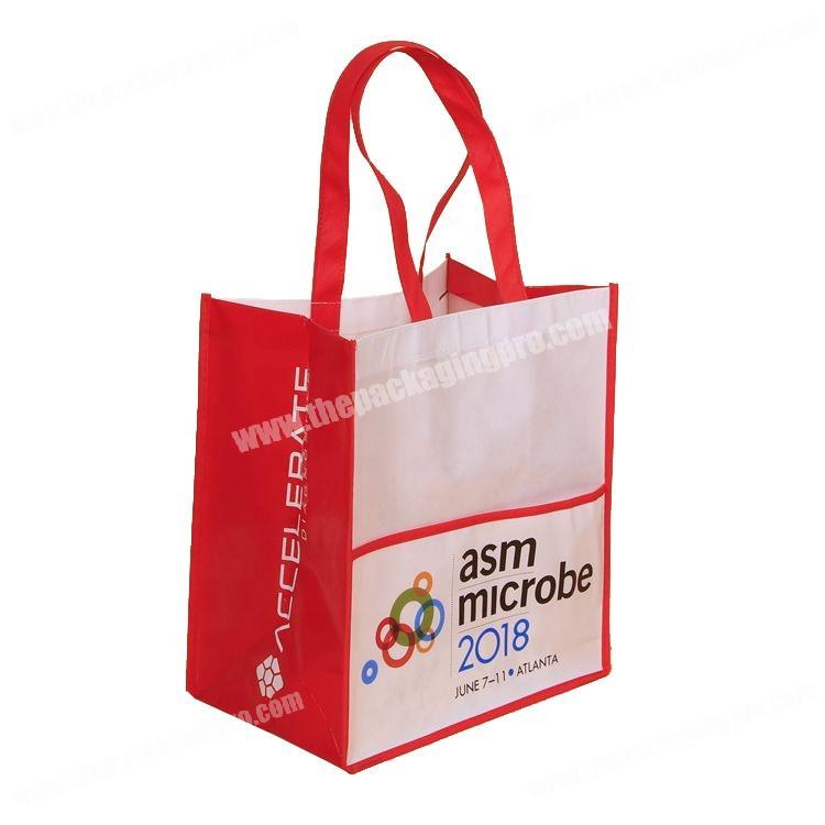 Wholesale Eco Friendly Reusable PP Non-woven Bag