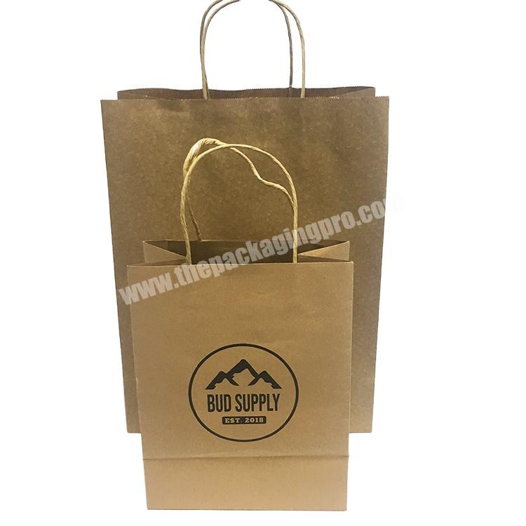 Customize Design Kraft Fancy Shopping Paper Bag Printing Gift Custom OEM Craft Gsm Item Time Industrial Surface Packaging Pcs