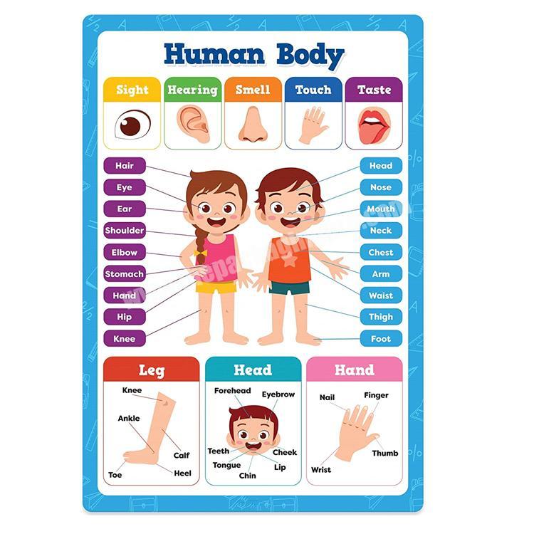 Printing Interactive Learning Poster Kinder Custom Posters For Wall